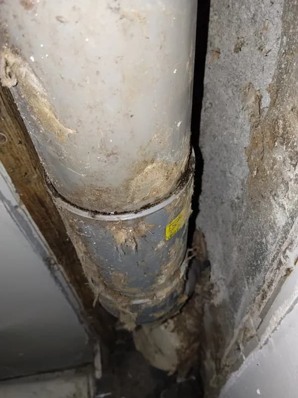 Détection de fuite encastrée à Saint-Paul : infiltration d'eau résolue